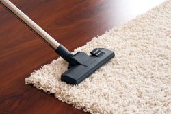 Ealing Dry Carpet Cleaning W3